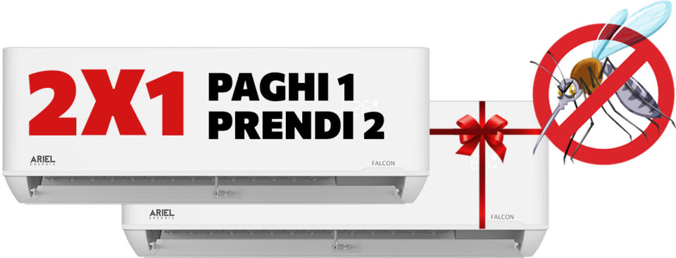 Climatizzatore 2X1