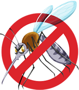 Zanzara